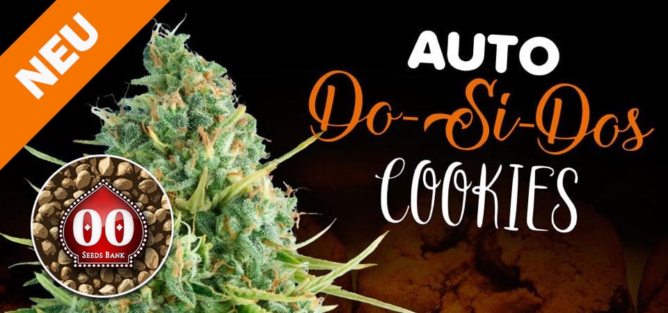 Auto-dosi-00 Auto dosi-Dos 00Seeds