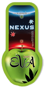 Nexus, Eva Seeds