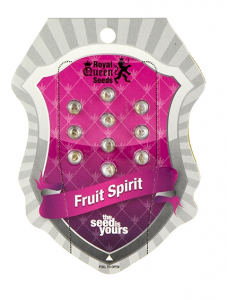 Fruit Spirit (Royal Queen Seeds), 3 semillas feminizadas