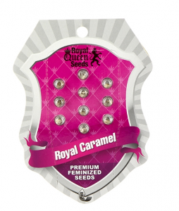 Royal Caramel, Royal Queen Seeds