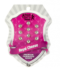 Royal Cheese, Royal Queen 