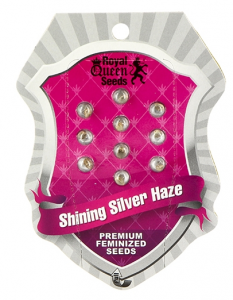 Shining Silver Haze