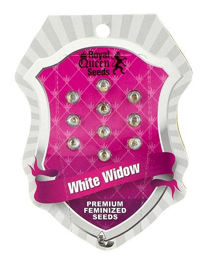 White Widow Royal Queen Seeds
