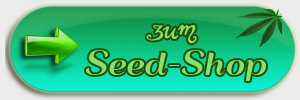 seedshop2