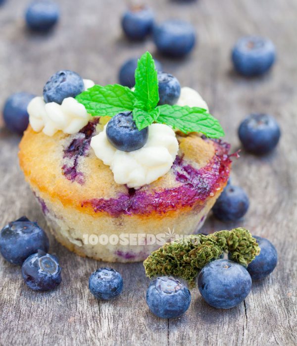 Blauberr-Cannabis-Muffins, backen mit Cannbis, Cannabis-Rezepte
