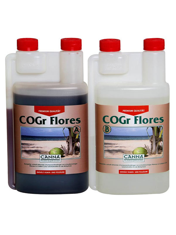 Cogr-Flores-Canna-1L