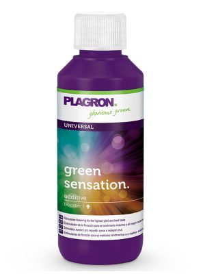 Green-Sensation-Plagron-100