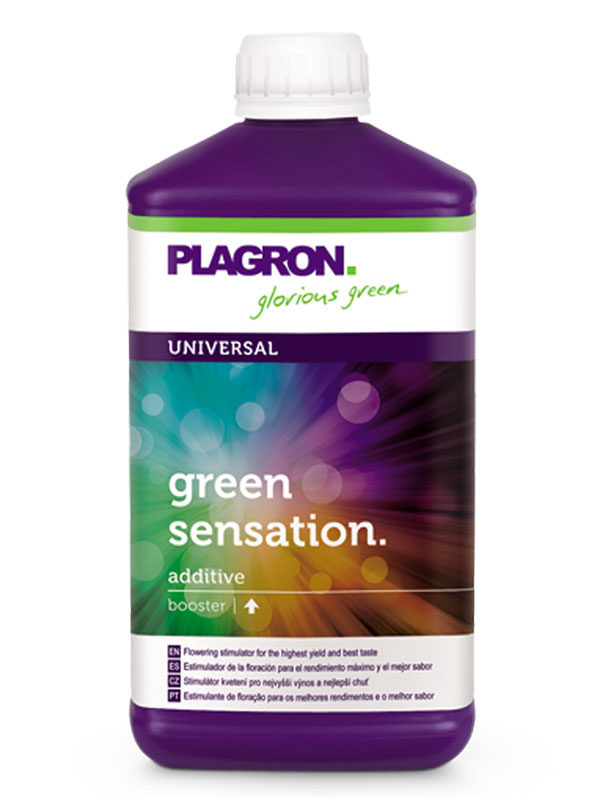 Green-Sensation-Plagron