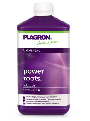 plagron-Power-roots