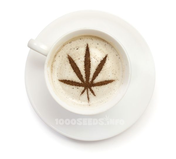 Cannabis-Kaffee, Cannabis Rezepte, kochen mit Marijuana
