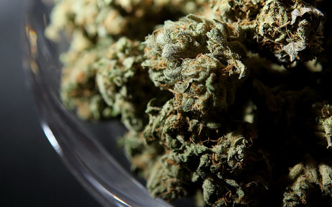 medizinische Cannabis-Sorten