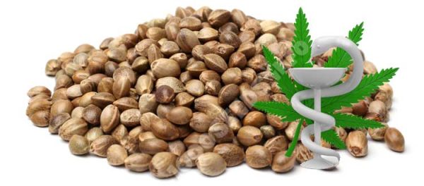 medical-Cannabis-Seeds, medizinische Cannabis-samen kaufen, Seedshop