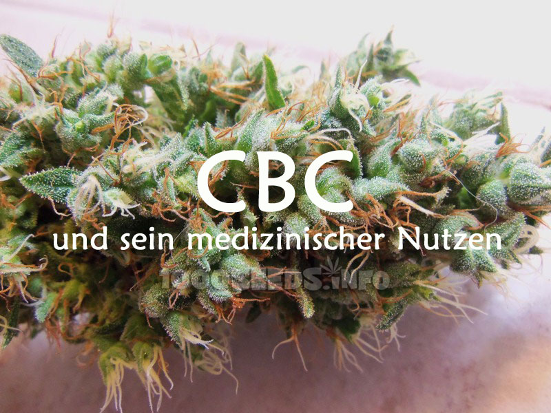 CBC-cannabinoide