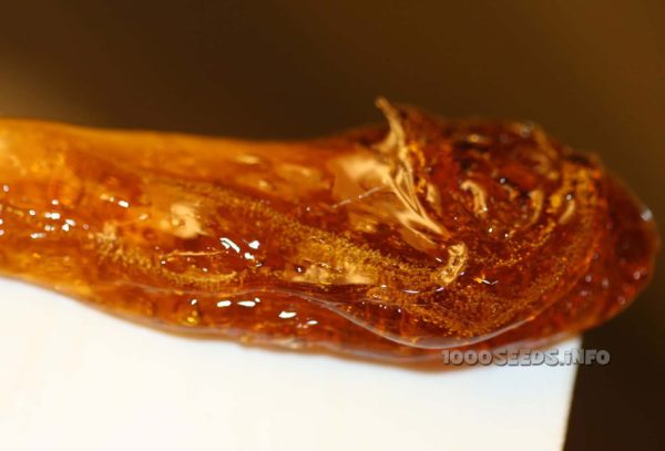 Use cannabis concentrates, cannabis extracts