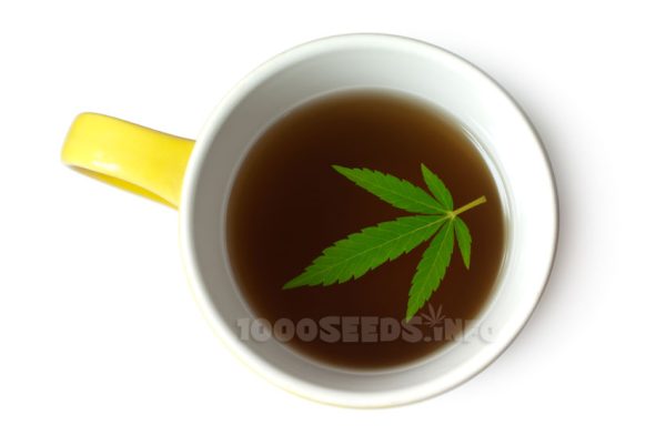 Cannabis-Tee, Marijuana Rezepte