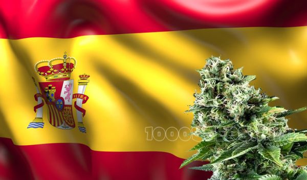 Spanien-Cannabis, Cannabis Social clubs Spanien, Cannabis in Spanien