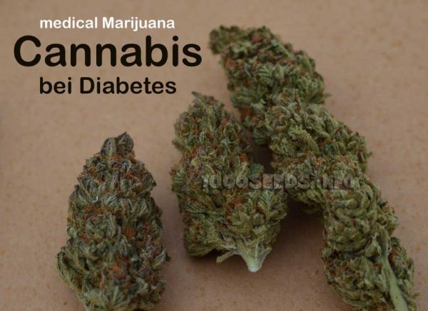 cannabis diabetes, cannabis in medicine