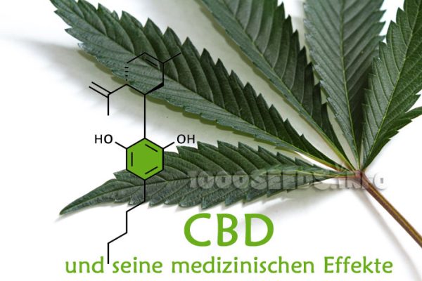CBD cannabinoid, the effects of CBD, CBD and its medicinal effects