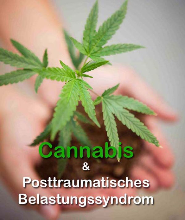 medizinisches Cannabis bei PTBS