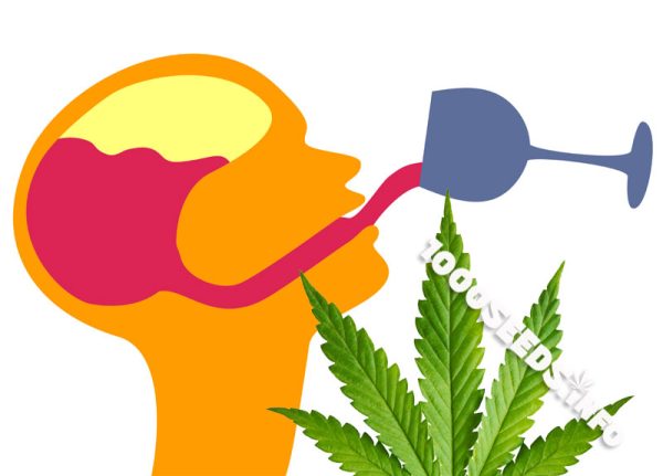 Cannabis-und-alkoholismus, Gehirnschäden und Cannabis