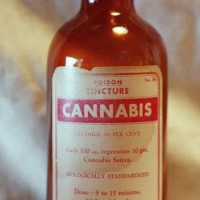 Cannabis tinctures use