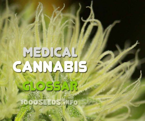 medical marijuana glossary