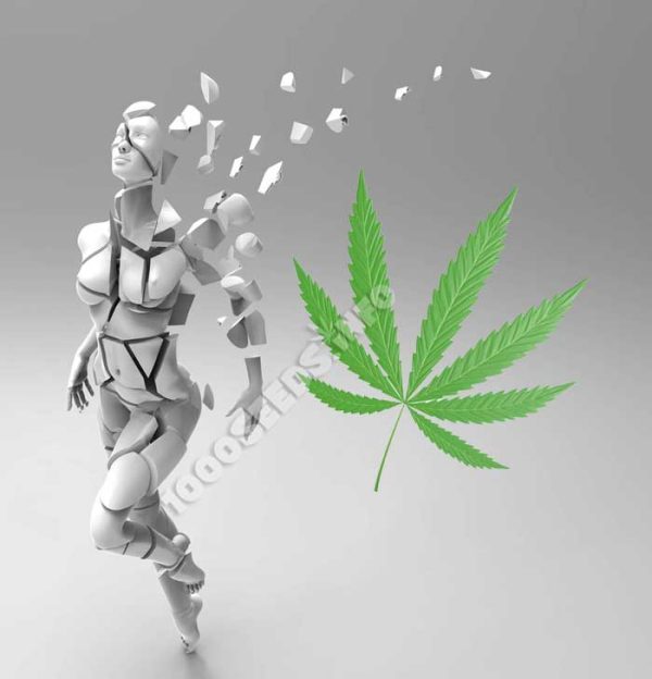 schizophrenia-and-cannabis, medical cannabis