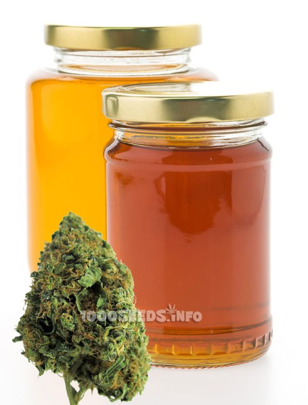 Cannabis-Honig selber machen, Cannabis-Rezepte, Weed-Koch