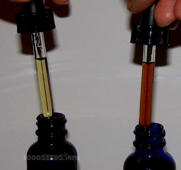 Cannabis syrup, cannabis extraction with glycerine
