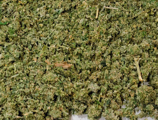 Cannabis-Salbe