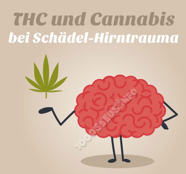 Cannabis-Hirntrauma, Cannabis in der Medizin, Cannabis und das Gehirn, therapeutischer Einsatz von Cannabis