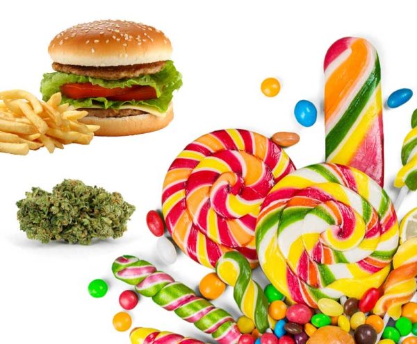 Frenesí por el cannabis, marihuana para el hambre, estimulante del apetito