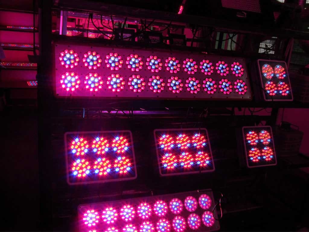 LEDs für den Cannabisanbau kaufen, die besten LEDs am Markt Orion LED
