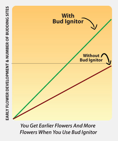 Bud Ignitor, Advanced Nutrients. Booster