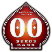 Auto Collection #1 (00 Seeds), 6 automatic Seeds