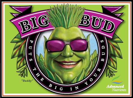 Líquido Big Bud (Advanced Nutrients), 500ml o 1 L
