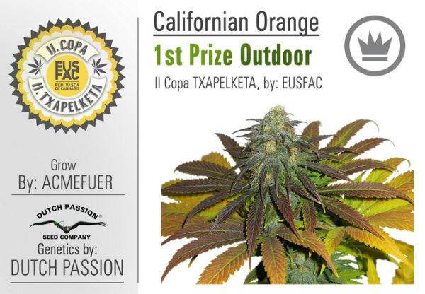 California Orange (Dutch Passion), 3 feminisierte Samen