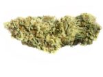 Dr. Greenthumb's Em-Dog by B-Real (Humboldt Seeds), 3 feminisierte Samen