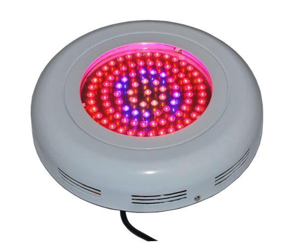 LED Ufo 90W, Blüte Spektrum