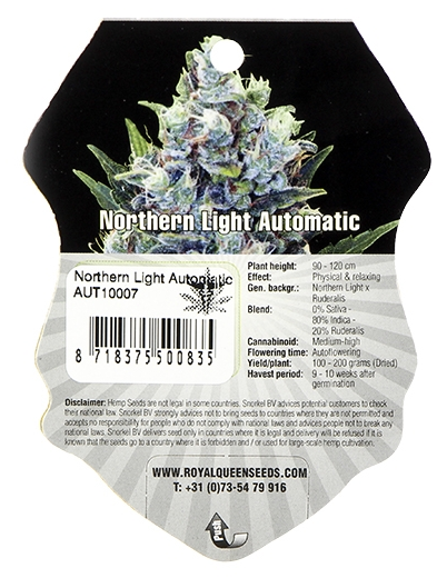 Northern Light Automatic (Royal Queen Seeds), 3 autofeminisierte Samen