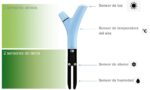 Parrot Flower Power, Messstab mit Übertragung zum Handy