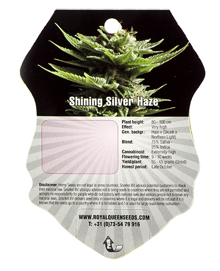 Shining Silver Haze (Royal Queen Seeds), 3 feminisierte Samen