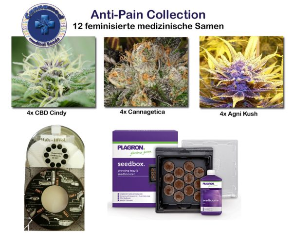 medical Collection - Anti Pain (Cannamed), 12 semillas feminizadas