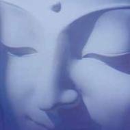 Assorted Auto Mix (Buddha Seeds), 10 feminisierte Samen