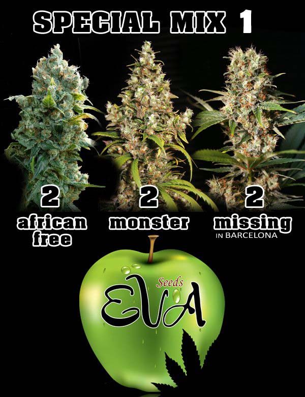 Special Mix 1 by Eva Seeds, 6 feminised seeds
