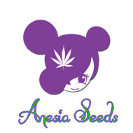 Anesia-Seeds, feminisierte Cannabis-Samen, Seedshop 1000Seeds