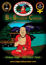 Big-Buddha-Cheese