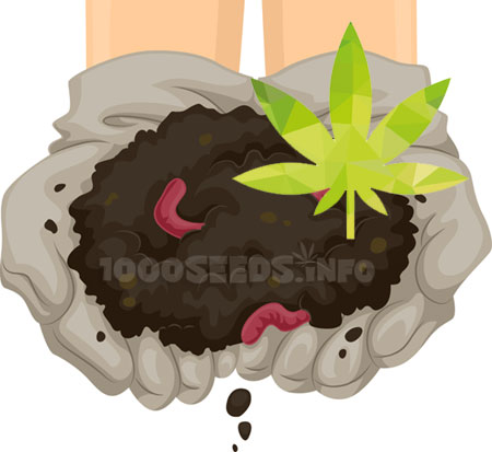 Kompost-Grow, Komposterde Cannabisanbau, Tipps, Grow-Lexikon