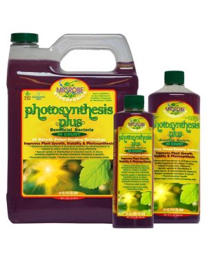 Microbe-Life,-Photosynthesis kaufen, Growshop 1000Seeds