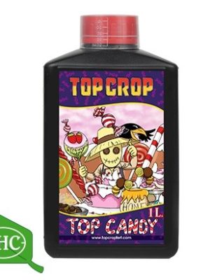 Top Crop Top Candy